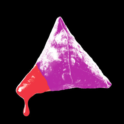 Sweet Sweet Samosa T-shirt (Black)