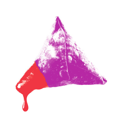 Sweet Sweet Samosa T-shirt (White)